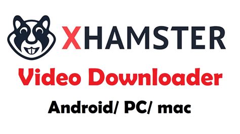 x hamster video downloader|How To Download From xHamster